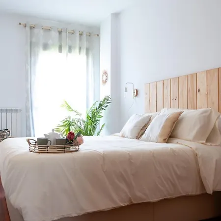 Apartment Cal Xera - Acollidora Planta Baixa Amb Llar De Foc I Jardi Privat Puigcerda